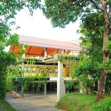 Kithul Kanda The Mountain Resort เพดุคกา ภายนอก รูปภาพ