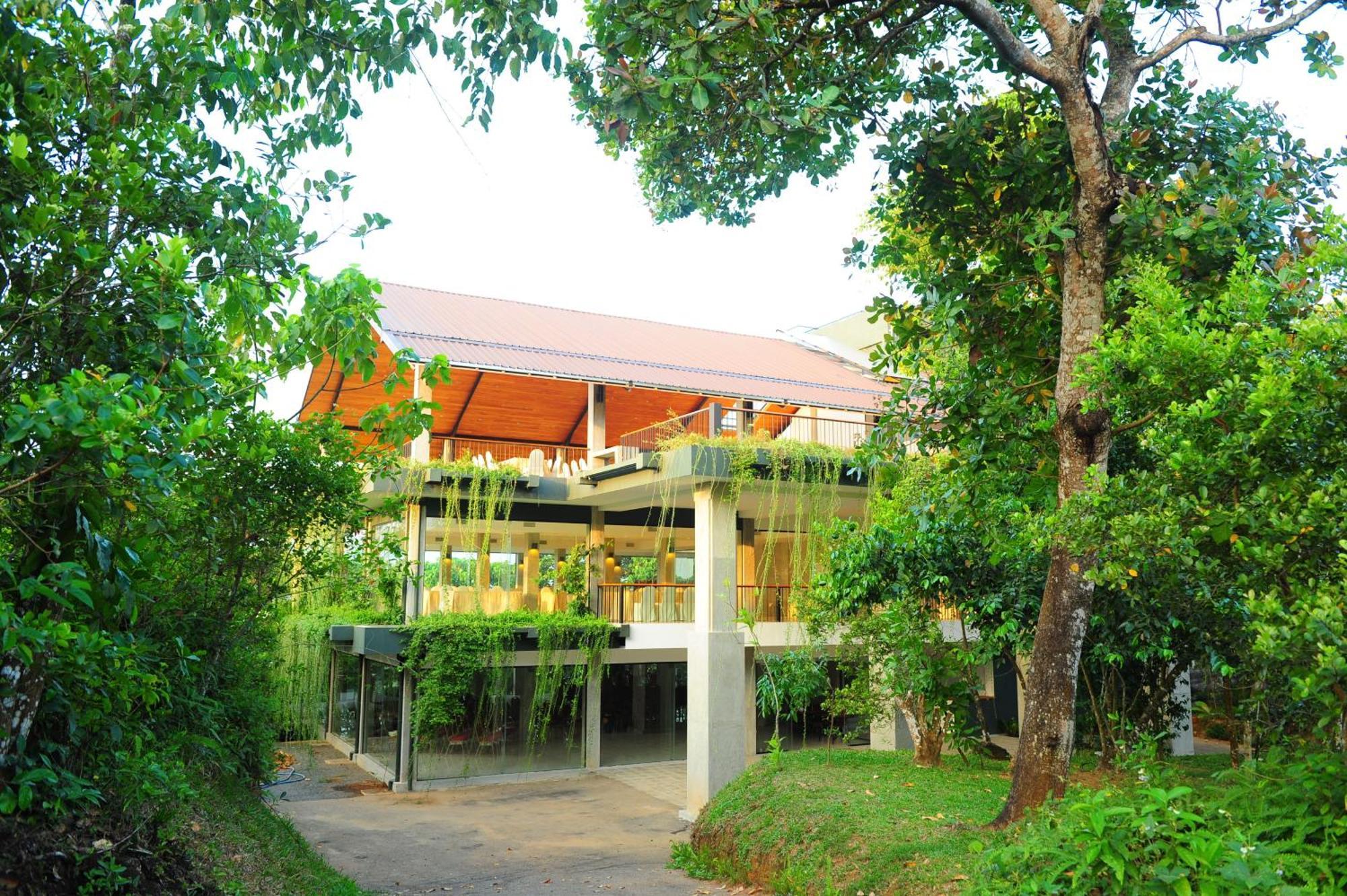 Kithul Kanda The Mountain Resort เพดุคกา ภายนอก รูปภาพ