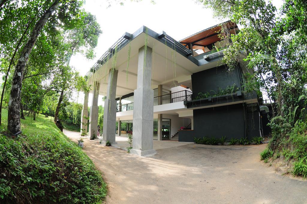 Kithul Kanda The Mountain Resort เพดุคกา ภายนอก รูปภาพ